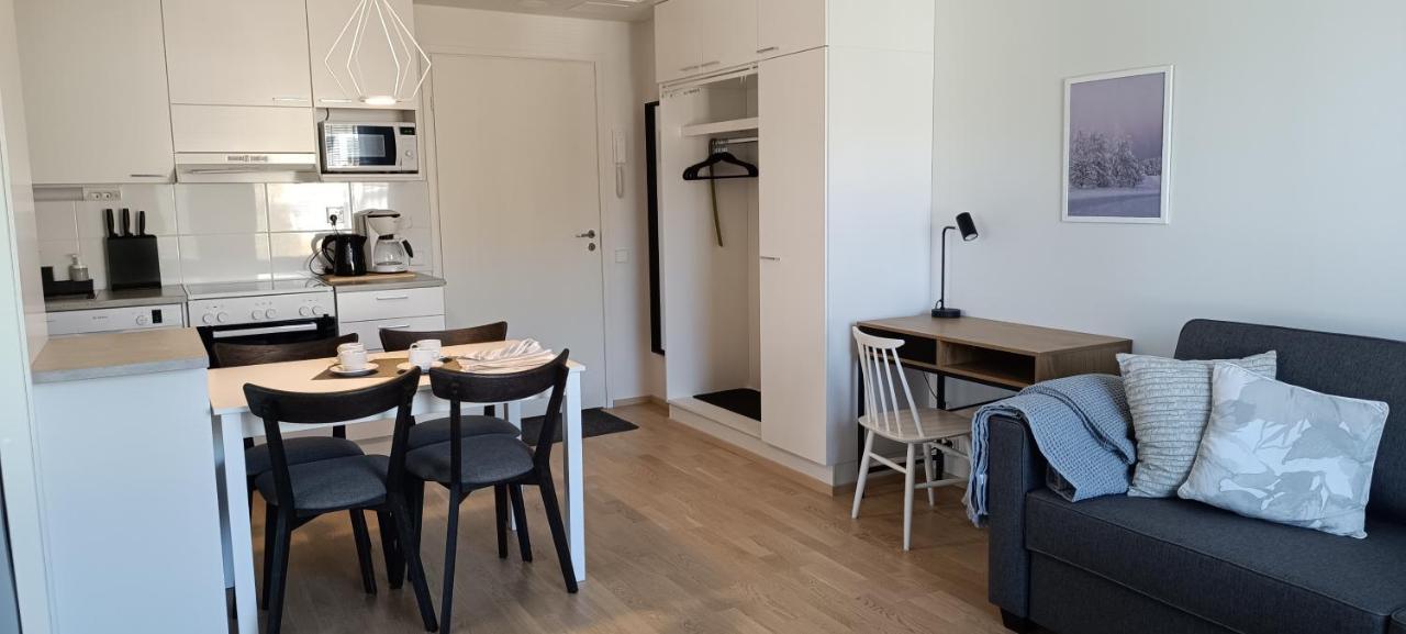 Kodikas Huoneisto, Oma Sauna, Ilmainen Pysaekoeinti Rovaniemi Exterior foto
