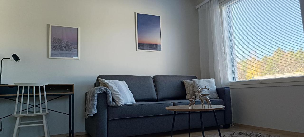 Kodikas Huoneisto, Oma Sauna, Ilmainen Pysaekoeinti Rovaniemi Exterior foto